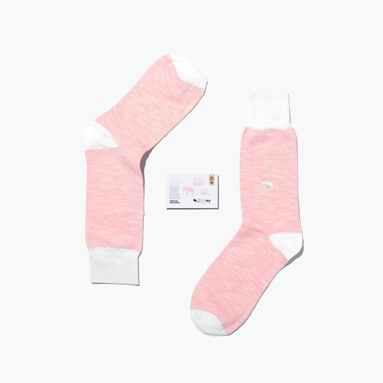 Critically Endangered Socks 3