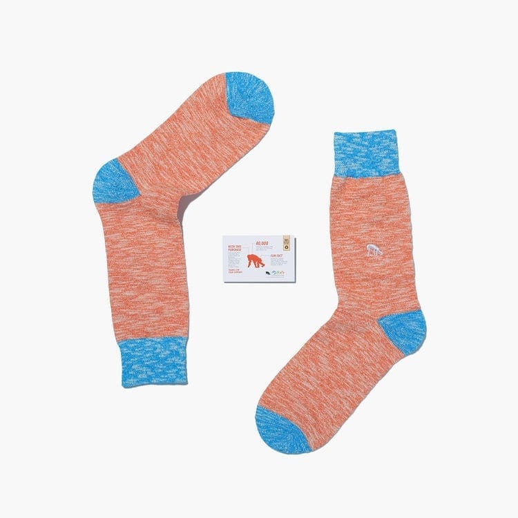 Critically Endangered Socks 1