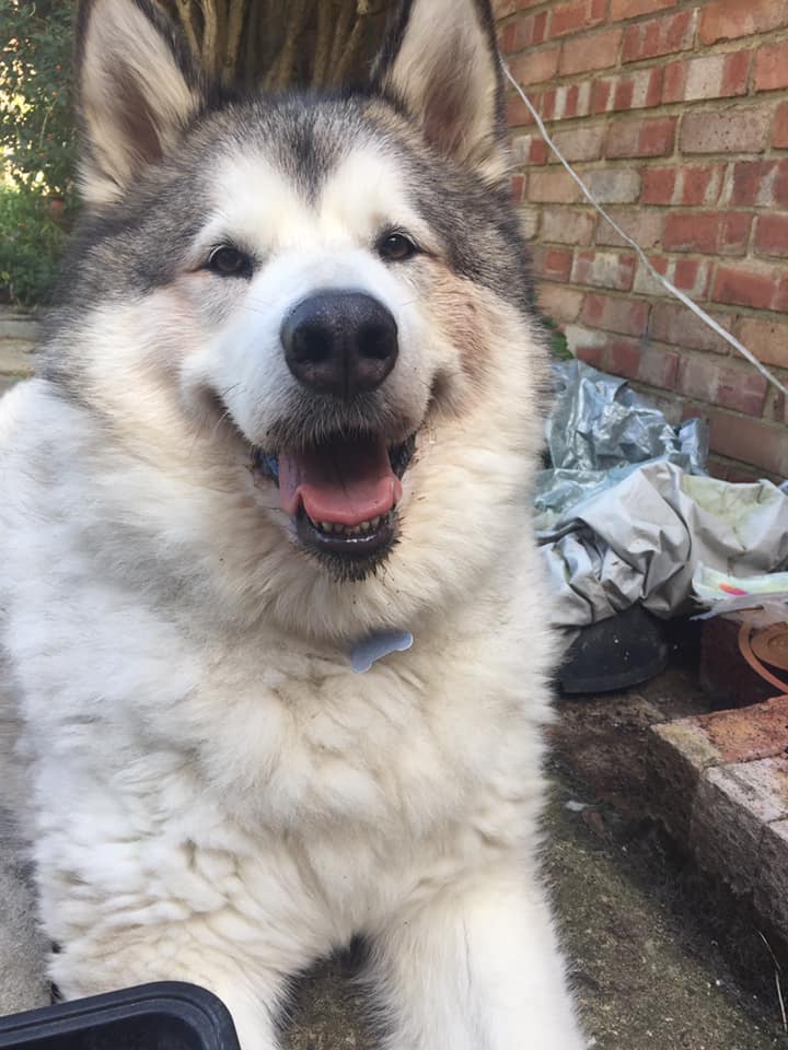 Max