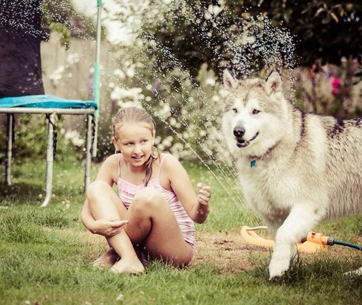 garden fun