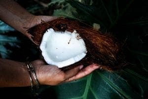 coconut