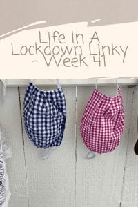 Life In A Lockdown Linky - Week 41