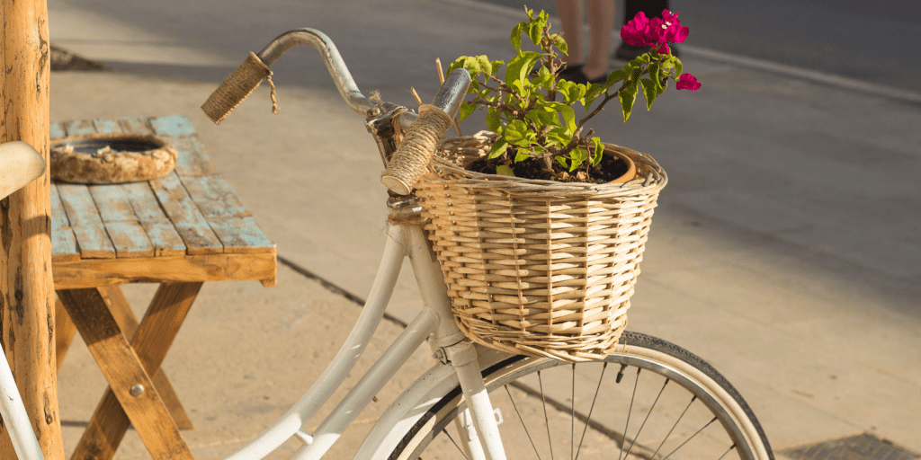 bike 2