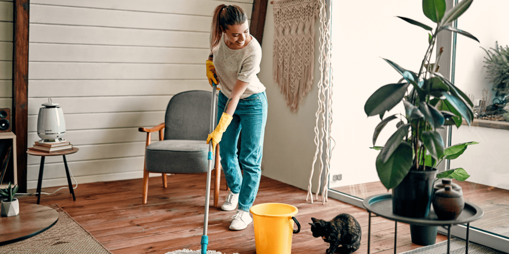 cleaning