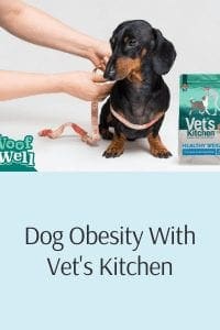Dog Obesity With Vet's Kitchen (3)
