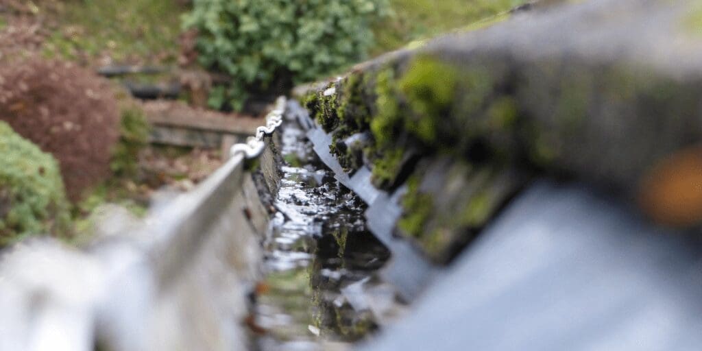 Tips on cleaning your gutters