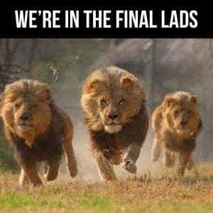 3 lions