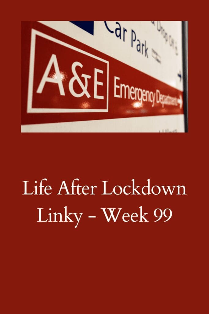 Life After Lockdown Linky - Week 99
