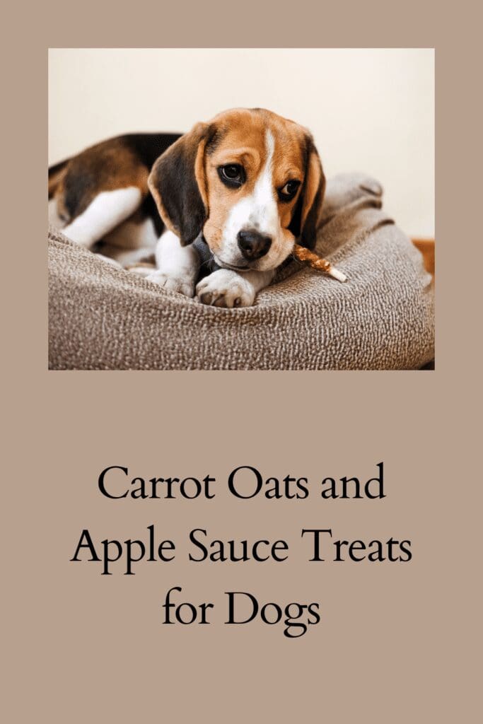 Carrot Oats and Apple Sauce Treats for Dogs pinterest pin
