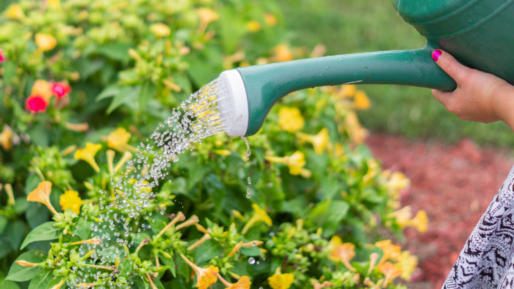 Water Your Garden Regularly