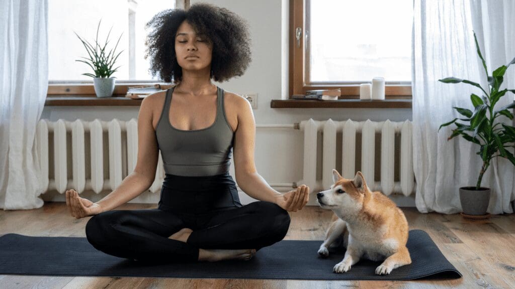 Meditate