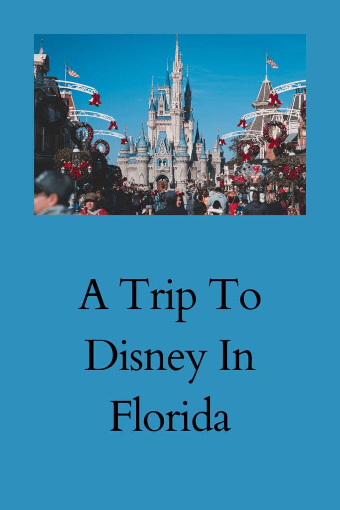 A Trip To Disney In Florida pinterest pin