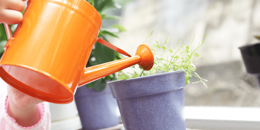 Planting Veggies With Your Kids: How To Make Gardening Fun