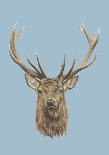 deer prrint