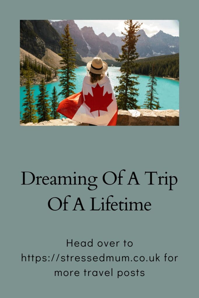 Dreaming Of A Trip Of A Lifetime pinterest pin
