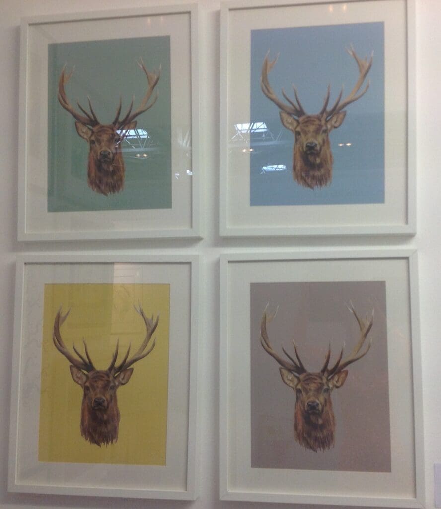 stag prints