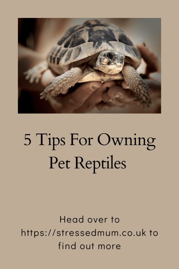 5 Tips For Owning Pet Reptiles pinterest pin