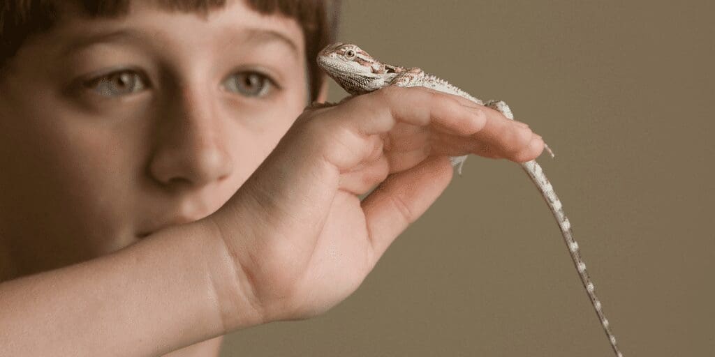 Handling Your Reptile