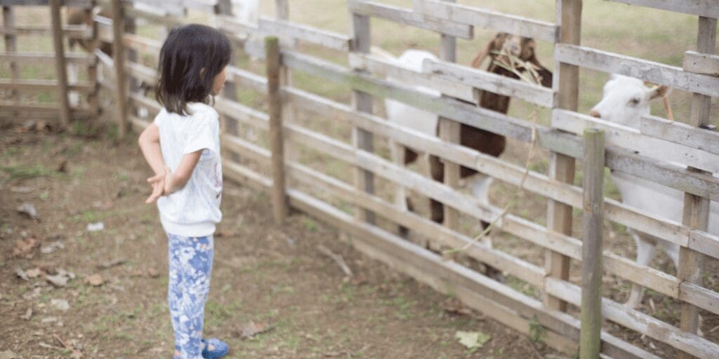 child showing compassion