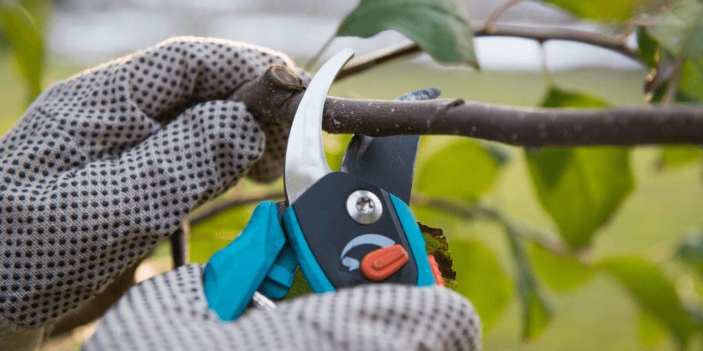 Learn About Plants’ Seasonal Needs