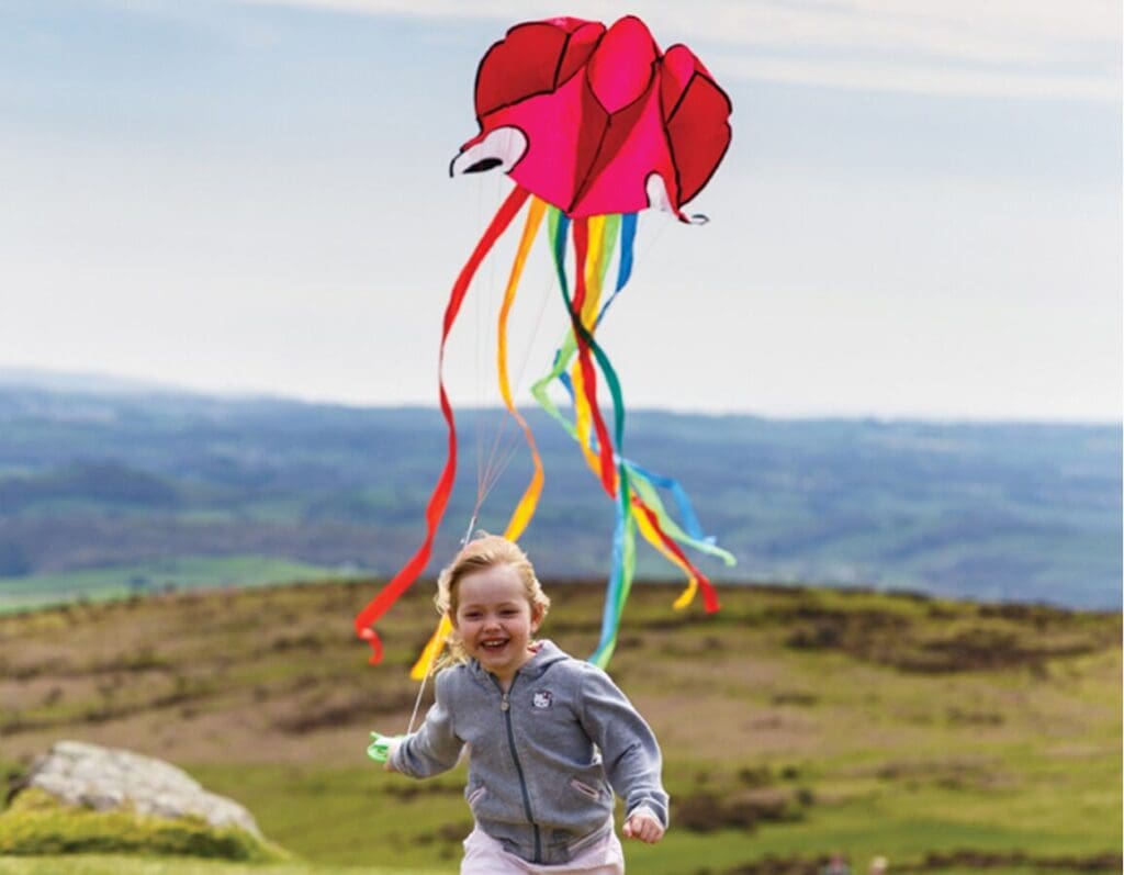 jumbo octopus kite