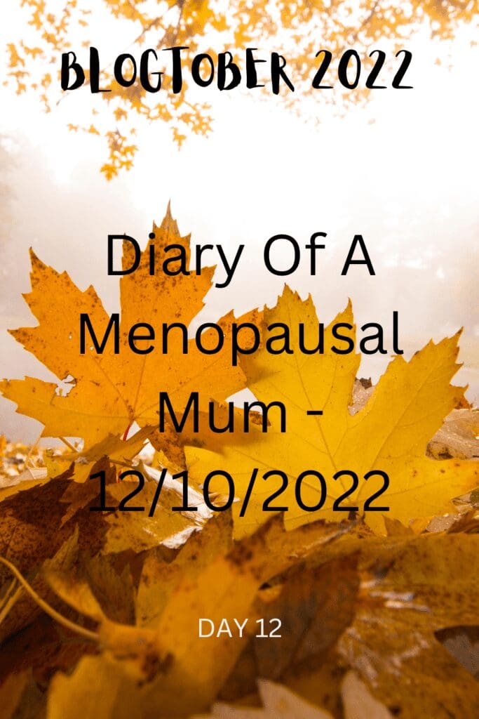 Diary Of A Menopausal Mum - 12/10/2022 pinterest pin