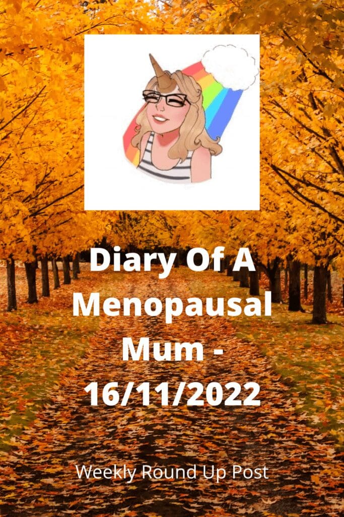 Diary Of A Menopausal Mum - 16/11/2022 pinterest pin