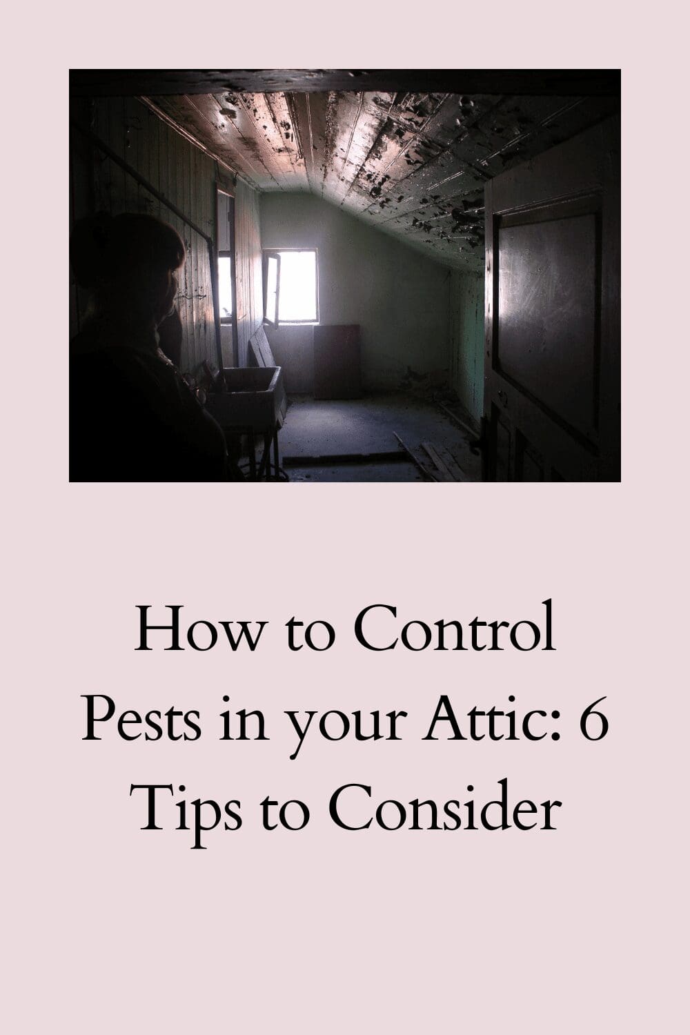 6 Tips On How to Control Pests in your Attic - StressedMum
