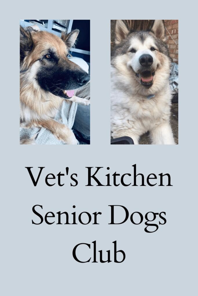 Vet's Kitchen Senior Dogs Club pinterest pin