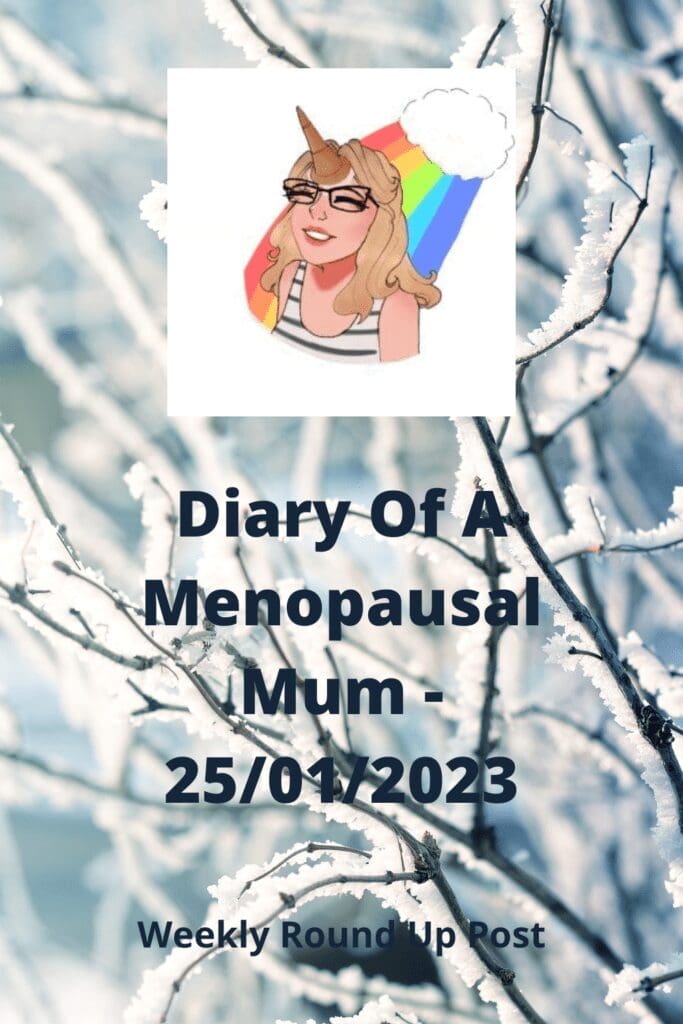 Diary Of A Menopausal Mum - 25/01/2023 pinterest pin