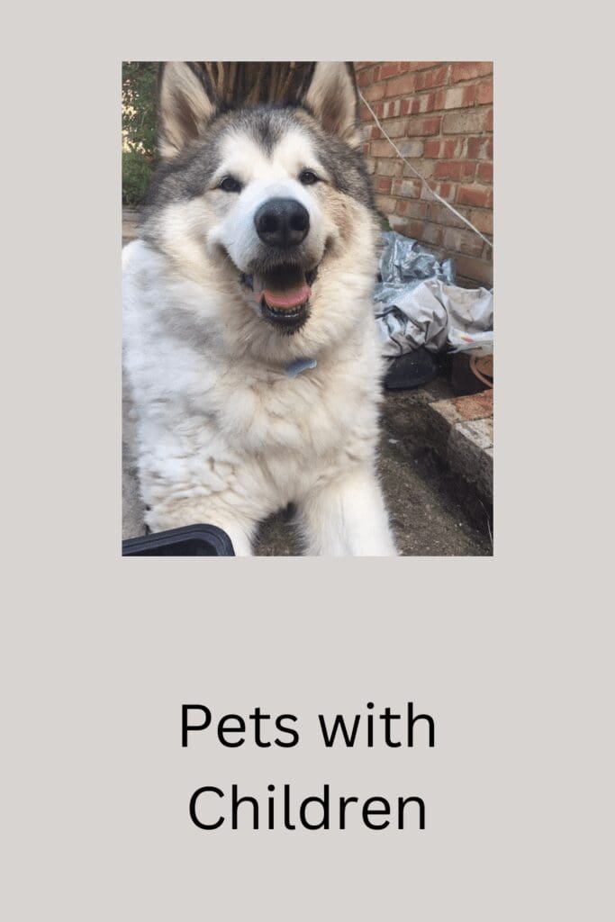 Pets with Children pinterest pin