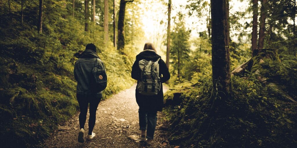 go for a walk in the woods