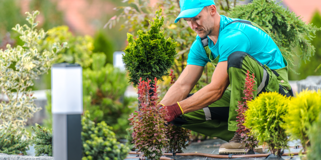 Hire a Gardener