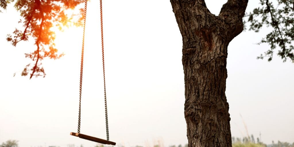 Add a Traditional Rope Swing onto a Tree