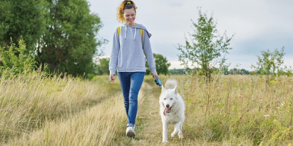 Take The Dog For A Walk