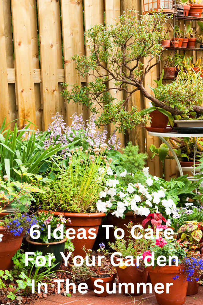 6 Ideas To Care For Your Garden In The Summer pinterest pin