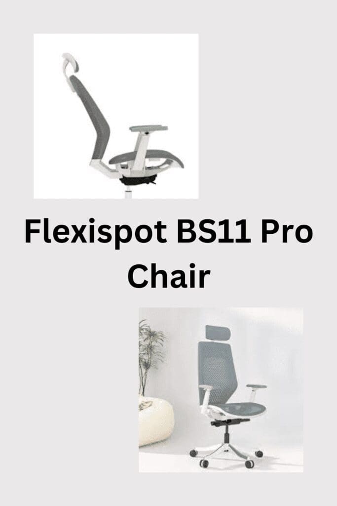 Flexispot BS11 Pro Chair pinterest pin