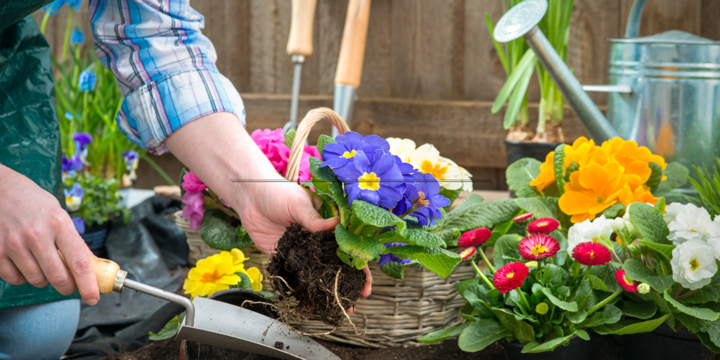 Get Some Plants To Brighten The Garden Up
