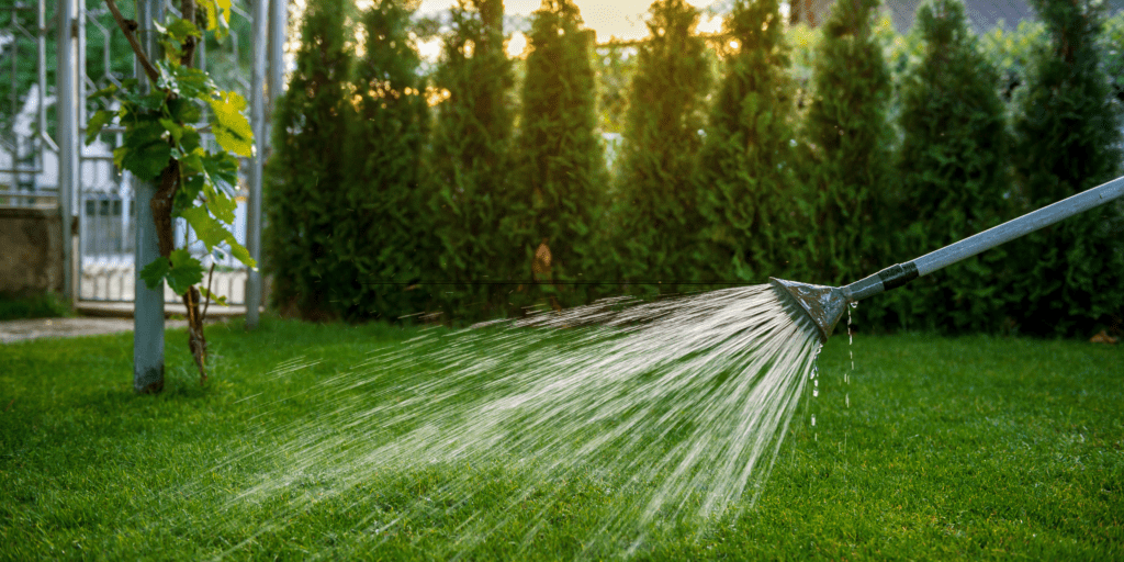 Get Your Garden Ready For Summer With A Nice Lawn