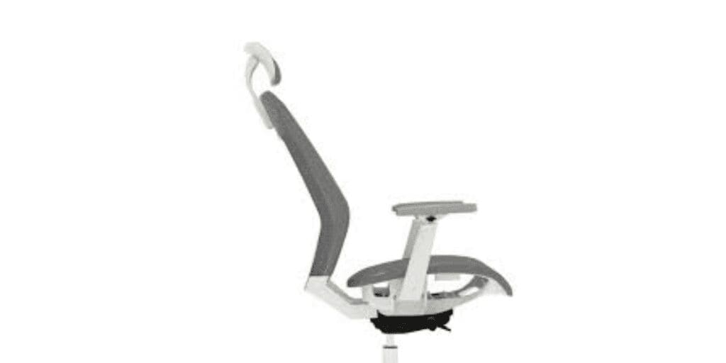 Flexispot BS11 Pro Chair