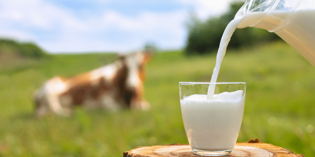 Increase Your Calcium Intake