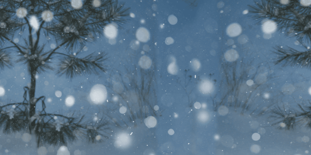 winter wonderland