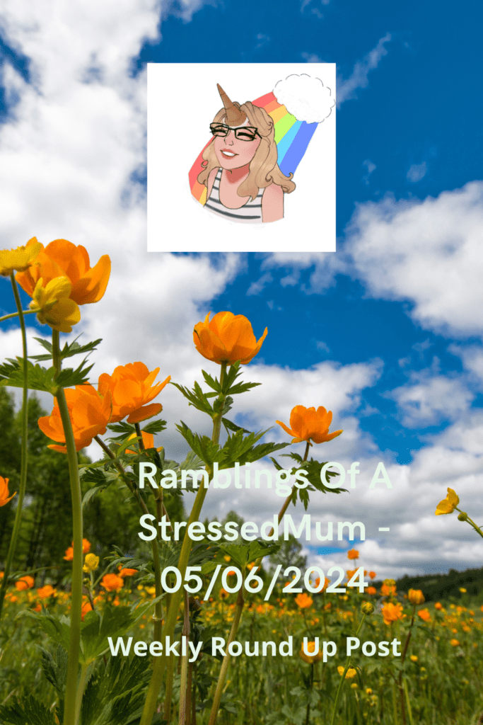 Ramblings Of A StressedMum - 05/06/2024 pinterest pin