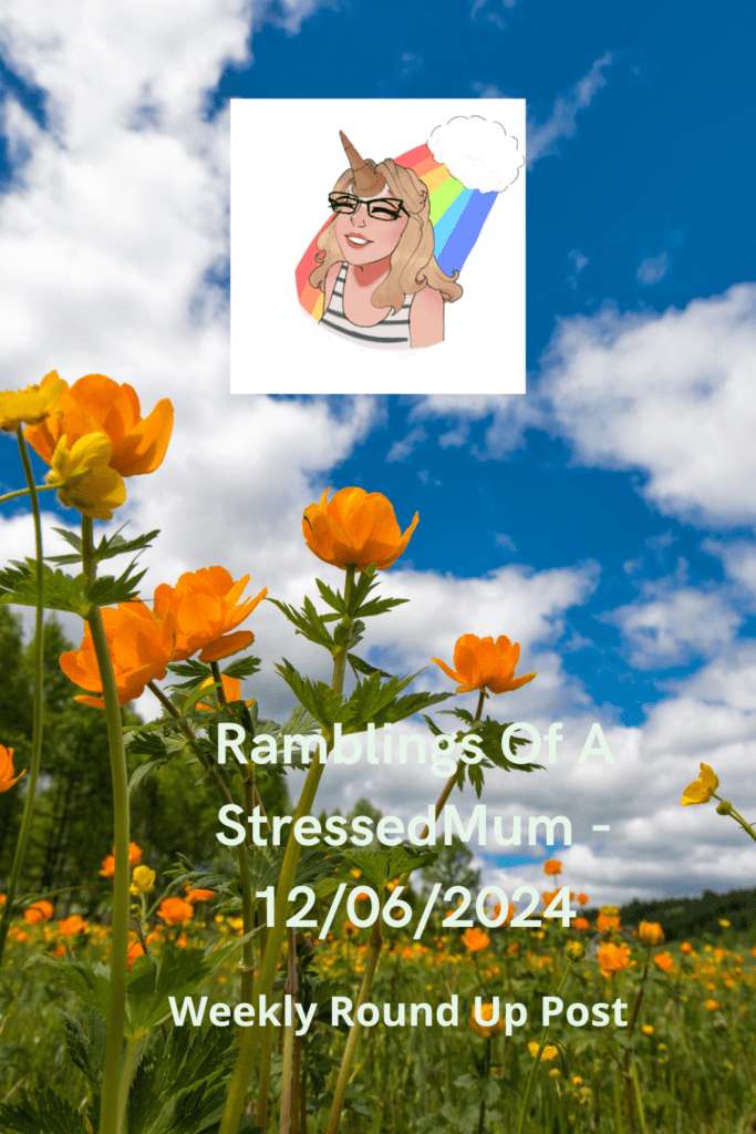 Ramblings Of A StressedMum - 12/06/2024 pinterest pin