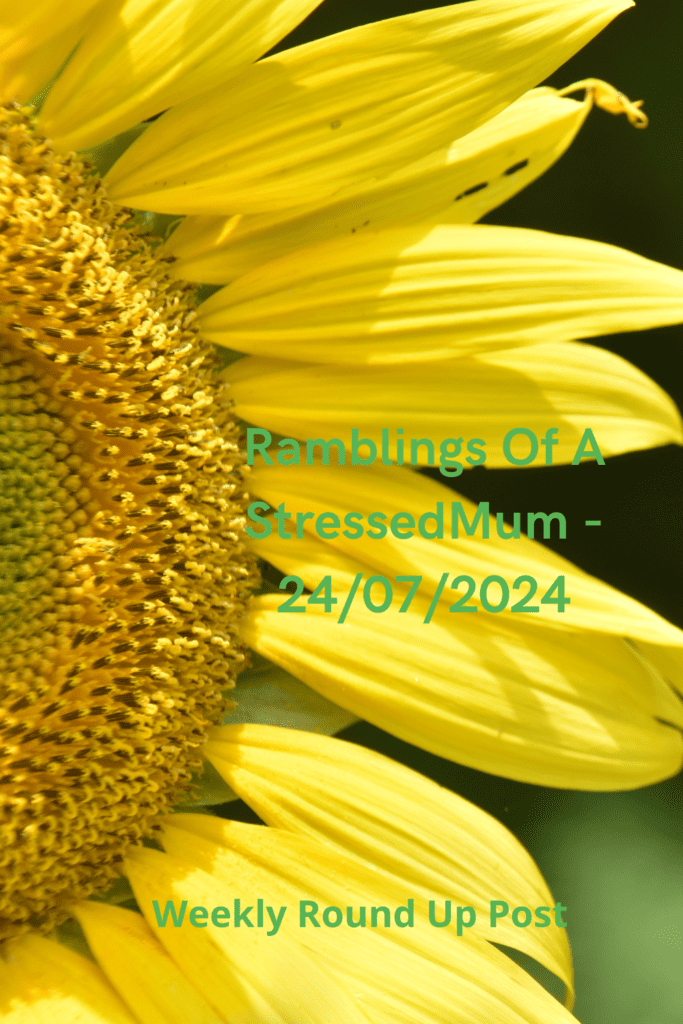 Ramblings Of A StressedMum - 24/07/2024 pinterest pin