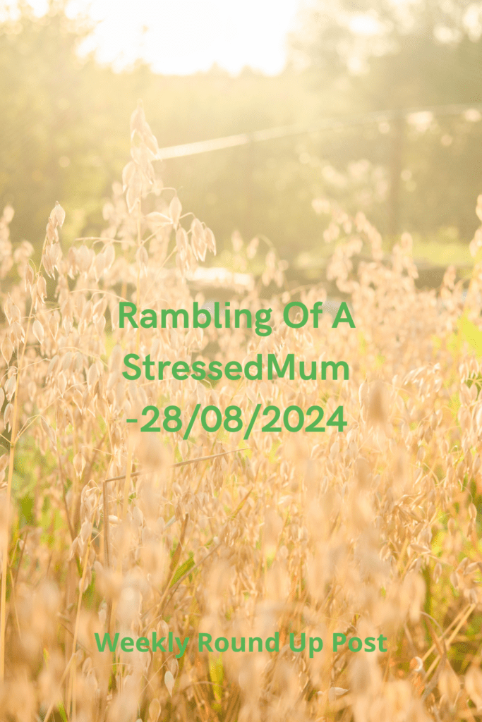 Rambling Of A StressedMum -28/08/2024 Pinterest pin
