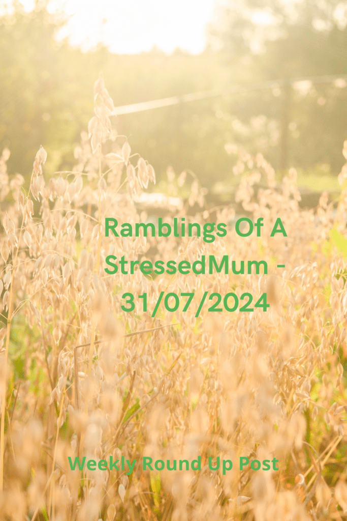 Ramblings Of A StressedMum - 07/08/2024 pinterest pin