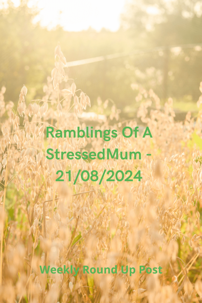 Ramblings Of A StressedMum - 21/08/2024 Pinterest pin
