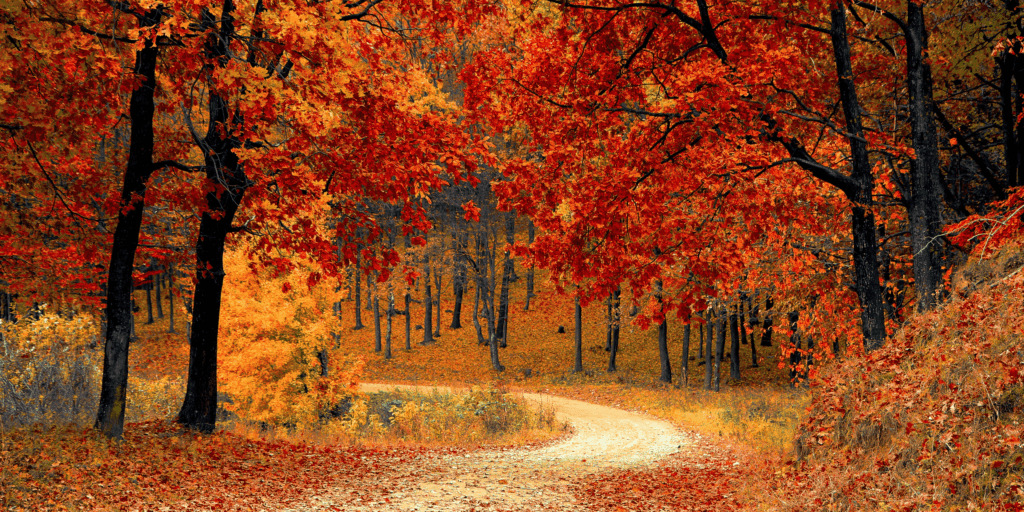 autumn