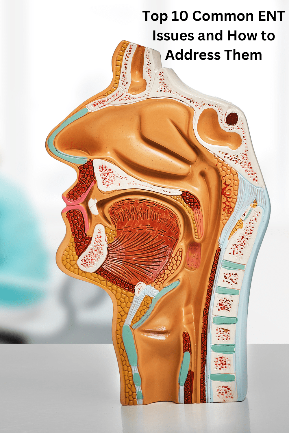 Top 10 Common ENT Issues and How to Address Them - StressedMum